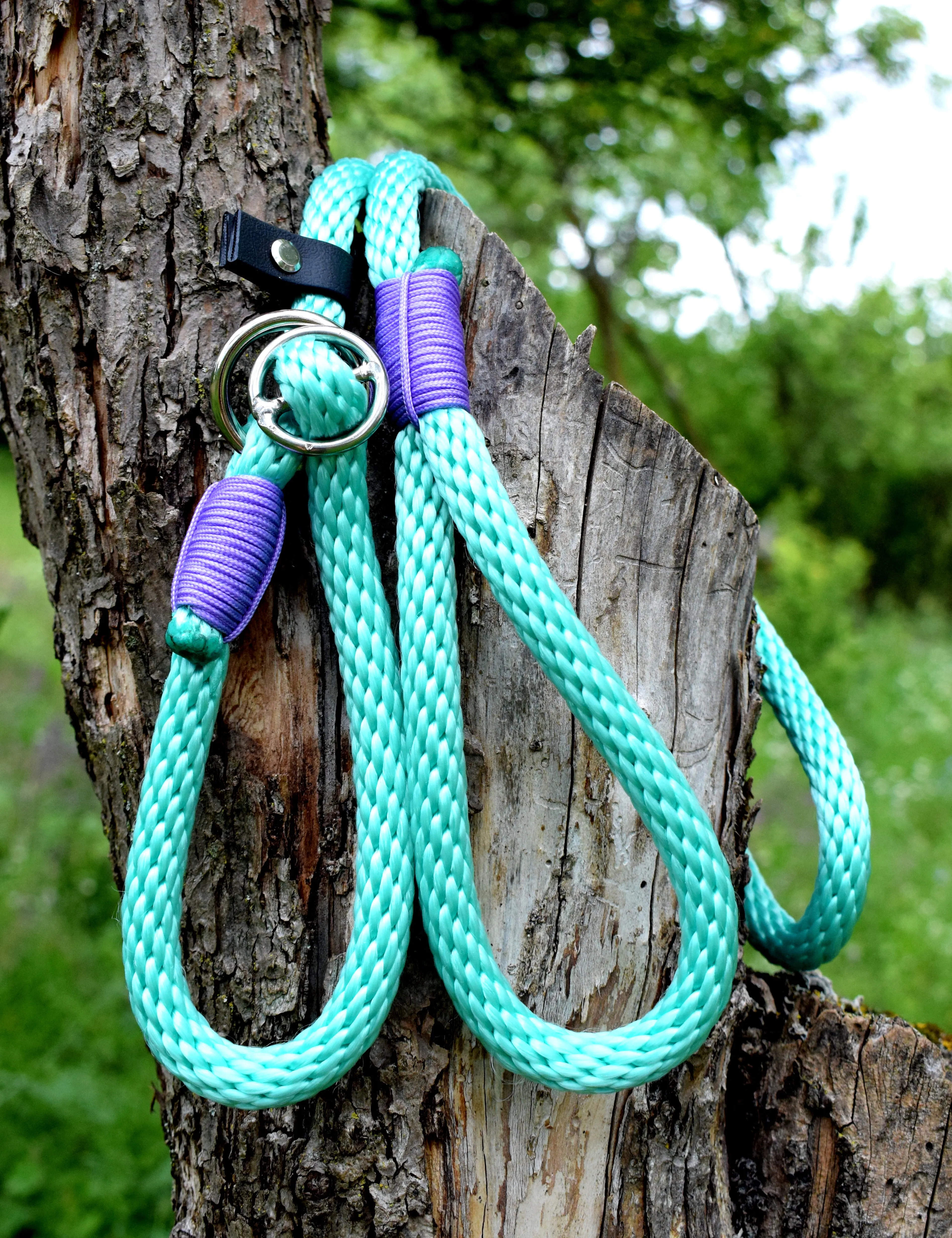 Big Dog Loop Leash
